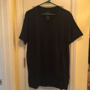 American Eagle V Neck Heritage T